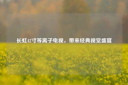 长虹42寸等离子电视，带来经典视觉盛宴