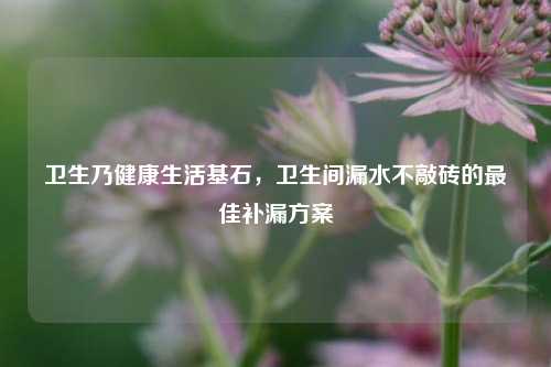 卫生乃健康生活基石，卫生间漏水不敲砖的最佳补漏方案