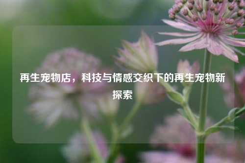 再生宠物店,科技与情感交织下的再生宠物新探索
