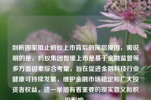 剖析国家阻止蚂蚁上市背后的深层原因,需说明的是,蚂蚁集团暂缓上市是基于金融监管等多方面因素综合考量,旨在促进金融科技行业健康可持续发展,维护金融市场稳定和广大投资者权益,这一举措有着重要的现实意义和积极影响。