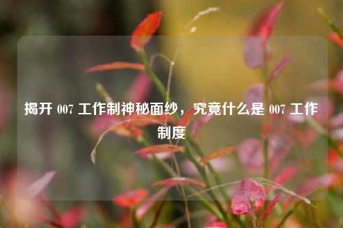 揭开 007 工作制神秘面纱,究竟什么是 007 工作制度