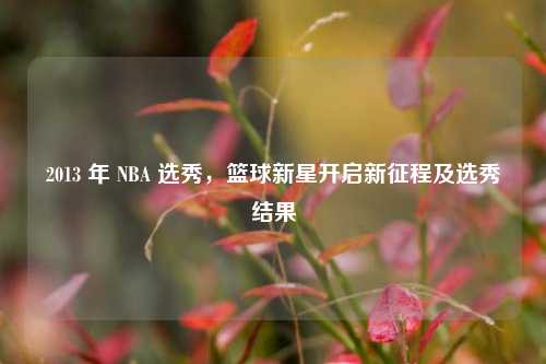 2013 年 NBA 选秀,篮球新星开启新征程及选秀结果