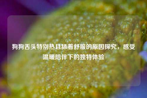狗狗舌头特别热且舔着舒服的原因探究,感受温暖陪伴下的独特体验