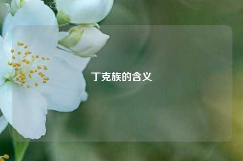 丁克族的含义
