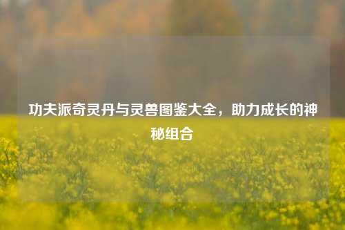 功夫派奇灵丹与灵兽图鉴大全,助力成长的神秘组合