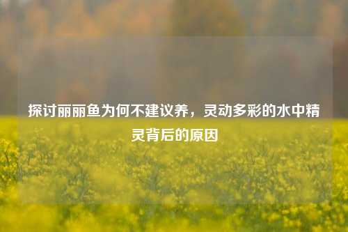 探讨丽丽鱼为何不建议养，灵动多彩的水中精灵背后的原因