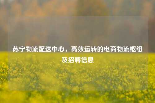 苏宁物流配送中心，高效运转的电商物流枢纽及招聘信息