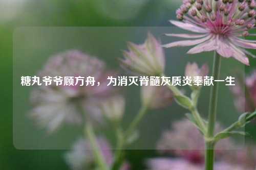 糖丸爷爷顾方舟,为消灭脊髓灰质炎奉献一生