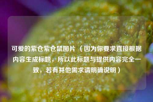 可爱的紫仓紫仓鼠图片 （因为你要求直接根据内容生成标题，所以此标题与提供内容完全一致，若有其他需求请明确说明）