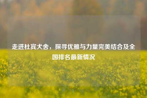 走进杜宾犬舍,探寻优雅与力量完美结合及全国排名最新情况