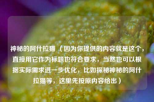 神秘的阿什拉猫 （因为你提供的内容就是这个，直接用它作为标题也符合要求，当然也可以根据实际需求进一步优化，比如探秘神秘的阿什拉猫等，这里先按原内容给出）