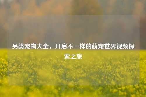 另类宠物大全,开启不一样的萌宠世界视频探索之旅