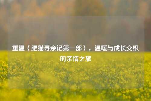 重温〈肥猫寻亲记第一部〉,温暖与成长交织的亲情之旅