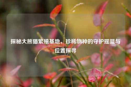 探秘大熊猫繁殖基地,珍稀物种的守护摇篮与位置探寻