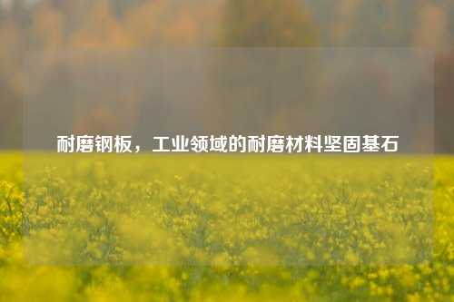 耐磨钢板，工业领域的耐磨材料坚固基石