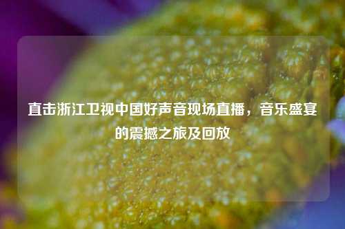 直击浙江卫视中国好声音现场直播,音乐盛宴的震撼之旅及回放