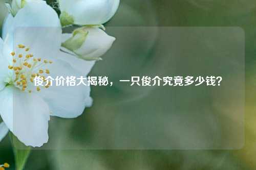 俊介价格大揭秘，一只俊介究竟多少钱？
