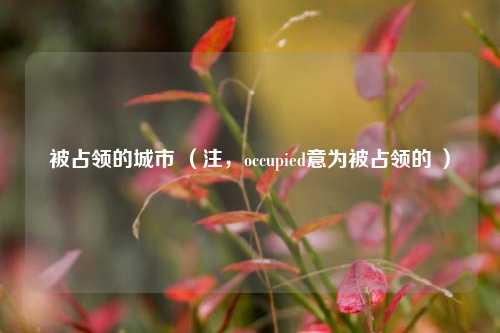 被占领的城市 （注，occupied意为被占领的 ）