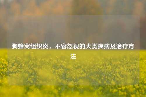 狗蜂窝组织炎,不容忽视的犬类疾病及治疗方法