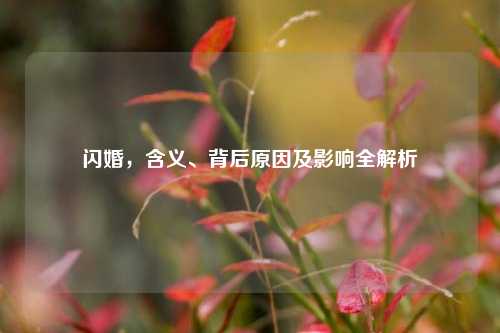 闪婚，含义、背后原因及影响全解析