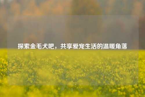 探索金毛犬吧,共享爱宠生活的温暖角落