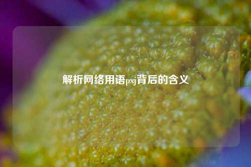 解析网络用语pxj背后的含义