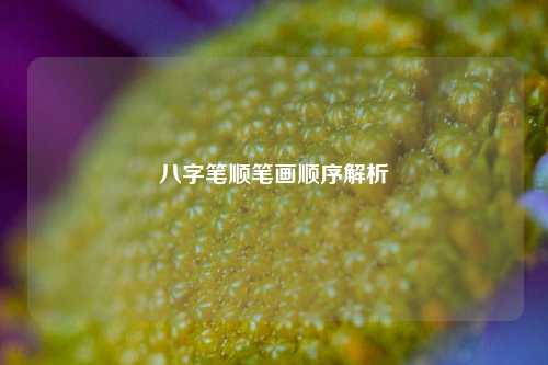 八字笔顺笔画顺序解析