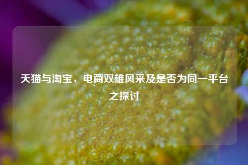 天猫与淘宝,电商双雄风采及是否为同一平台之探讨