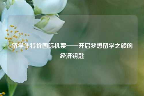 留学生特价国际机票——开启梦想留学之旅的经济钥匙