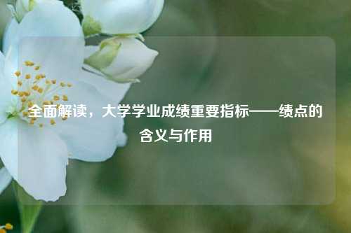 全面解读,大学学业成绩重要指标——绩点的含义与作用