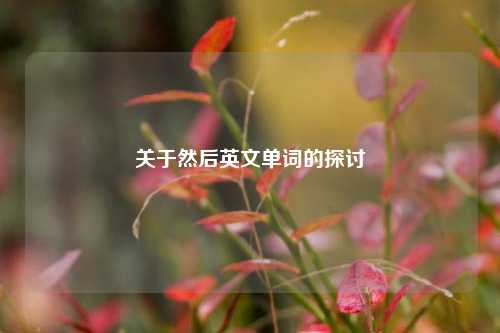 关于然后英文单词的探讨