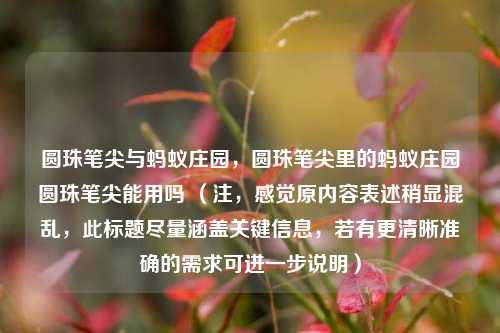 圆珠笔尖与蚂蚁庄园，圆珠笔尖里的蚂蚁庄园圆珠笔尖能用吗 （注，感觉原内容表述稍显混乱，此标题尽量涵盖关键信息，若有更清晰准确的需求可进一步说明）