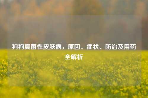 狗狗真菌性皮肤病，原因、症状、防治及用药全解析