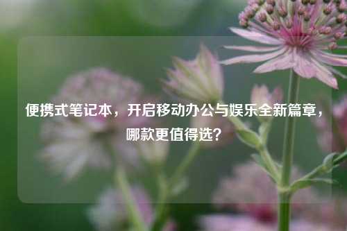 便携式笔记本,开启移动办公与娱乐全新篇章,哪款更值得选?