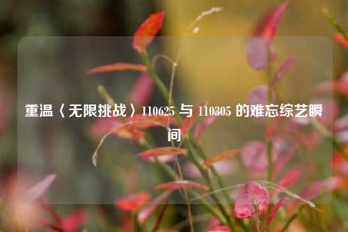 重温〈无限挑战〉110625 与 110305 的难忘综艺瞬间