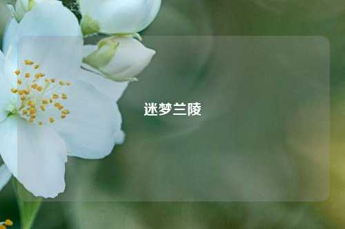迷梦兰陵