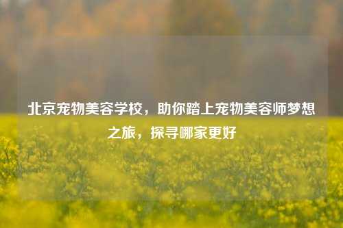 北京宠物美容学校,助你踏上宠物美容师梦想之旅,探寻哪家更好