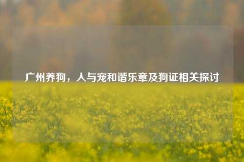 广州养狗,人与宠和谐乐章及狗证相关探讨