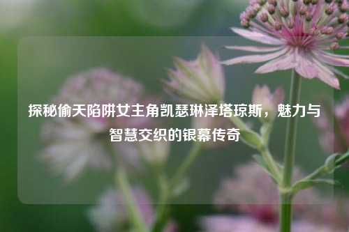 探秘偷天陷阱女主角凯瑟琳泽塔琼斯，魅力与智慧交织的银幕传奇