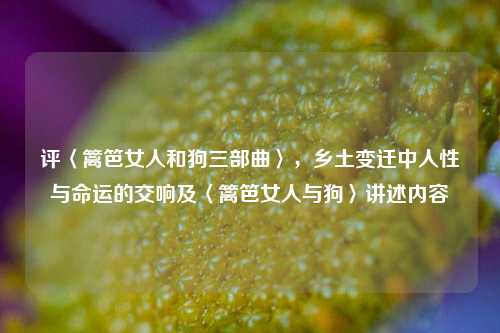 评〈篱笆女人和狗三部曲〉,乡土变迁中人性与命运的交响及〈篱笆女人与狗〉讲述内容