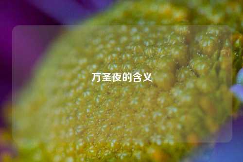万圣夜的含义