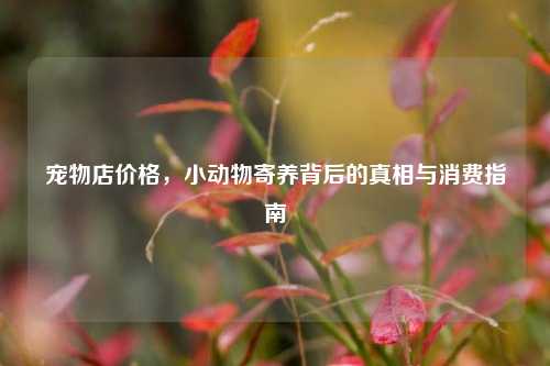宠物店价格,小动物寄养背后的真相与消费指南