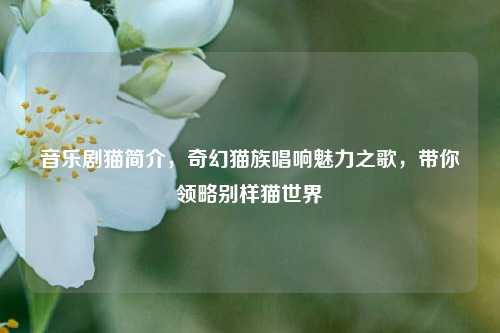 音乐剧猫简介，奇幻猫族唱响魅力之歌，带你领略别样猫世界