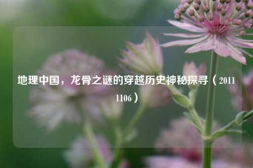地理中国，龙骨之谜的穿越历史神秘探寻（20111106）