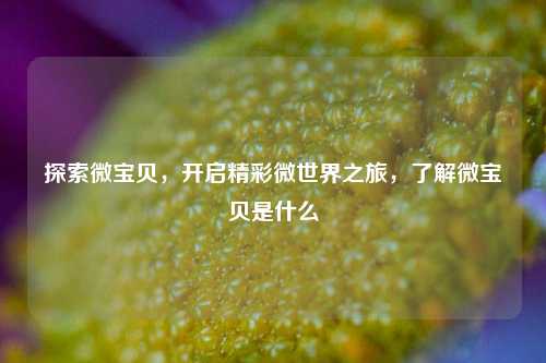 探索微宝贝,开启精彩微世界之旅,了解微宝贝是什么