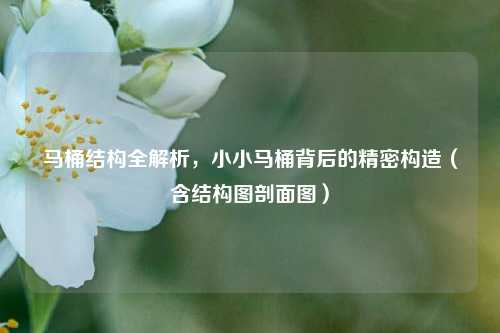 马桶结构全解析,小小马桶背后的精密构造(含结构图剖面图)