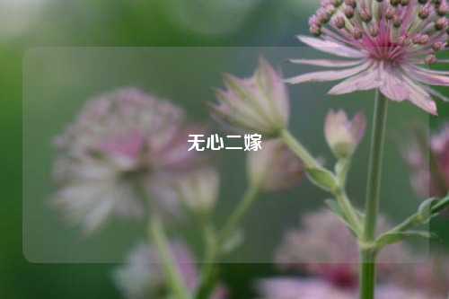 无心二嫁