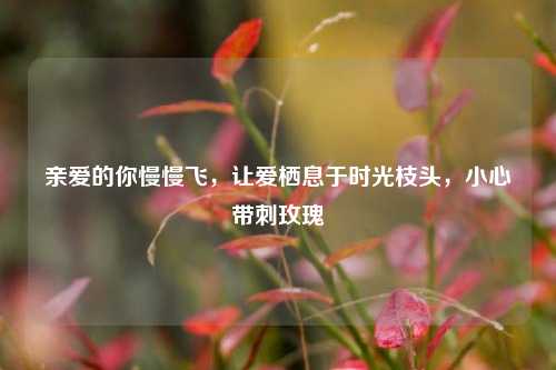 亲爱的你慢慢飞,让爱栖息于时光枝头,小心带刺玫瑰