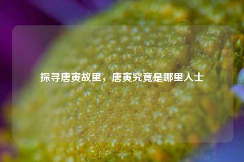 探寻唐寅故里,唐寅究竟是哪里人士