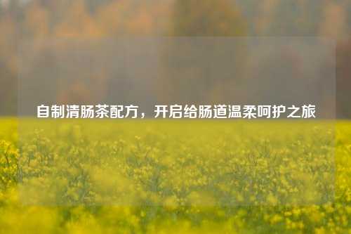 自制清肠茶配方,开启给肠道温柔呵护之旅